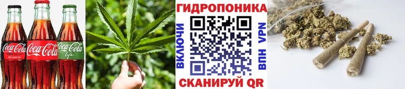 Cannafood конопля Изобильный