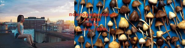 МДМА Абдулино