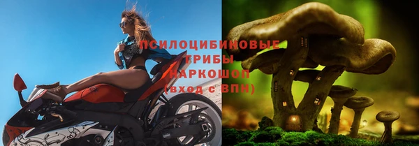 2c-b Алзамай